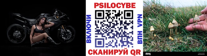Псилоцибиновые грибы Psilocybine cubensis  Купить закладки  Железногорск-Илимский 